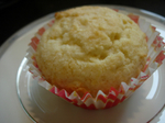 DSCN2966.jpg